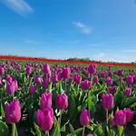 Zeezuid Holiday home